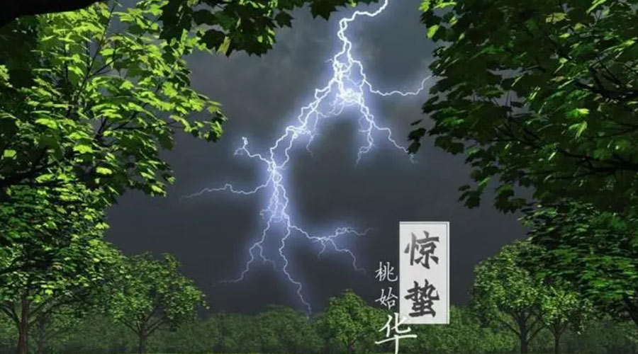 驚蟄時(shí)節(jié)！金環(huán)電器提醒大家的注意事項(xiàng)