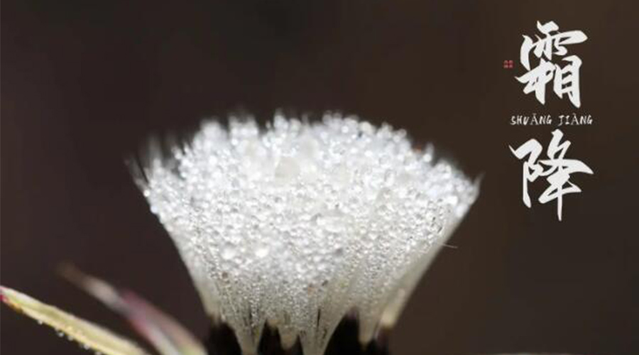 霜降時(shí)節(jié)！金環(huán)電器提醒大家要注意的事項(xiàng)