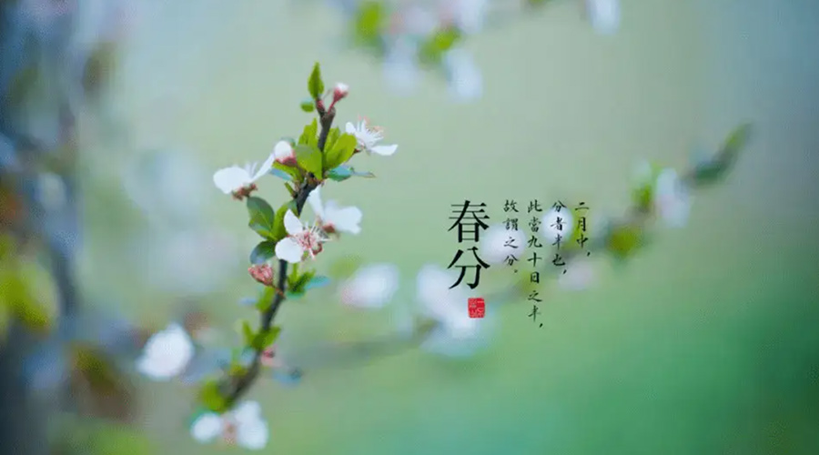 春分雨水多易生菌！金環(huán)電器提醒你衣物要注意處理