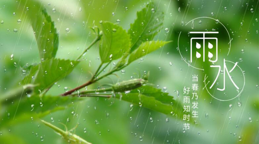 雨水時(shí)節(jié)！金環(huán)電器提醒大家要注意的事項(xiàng)